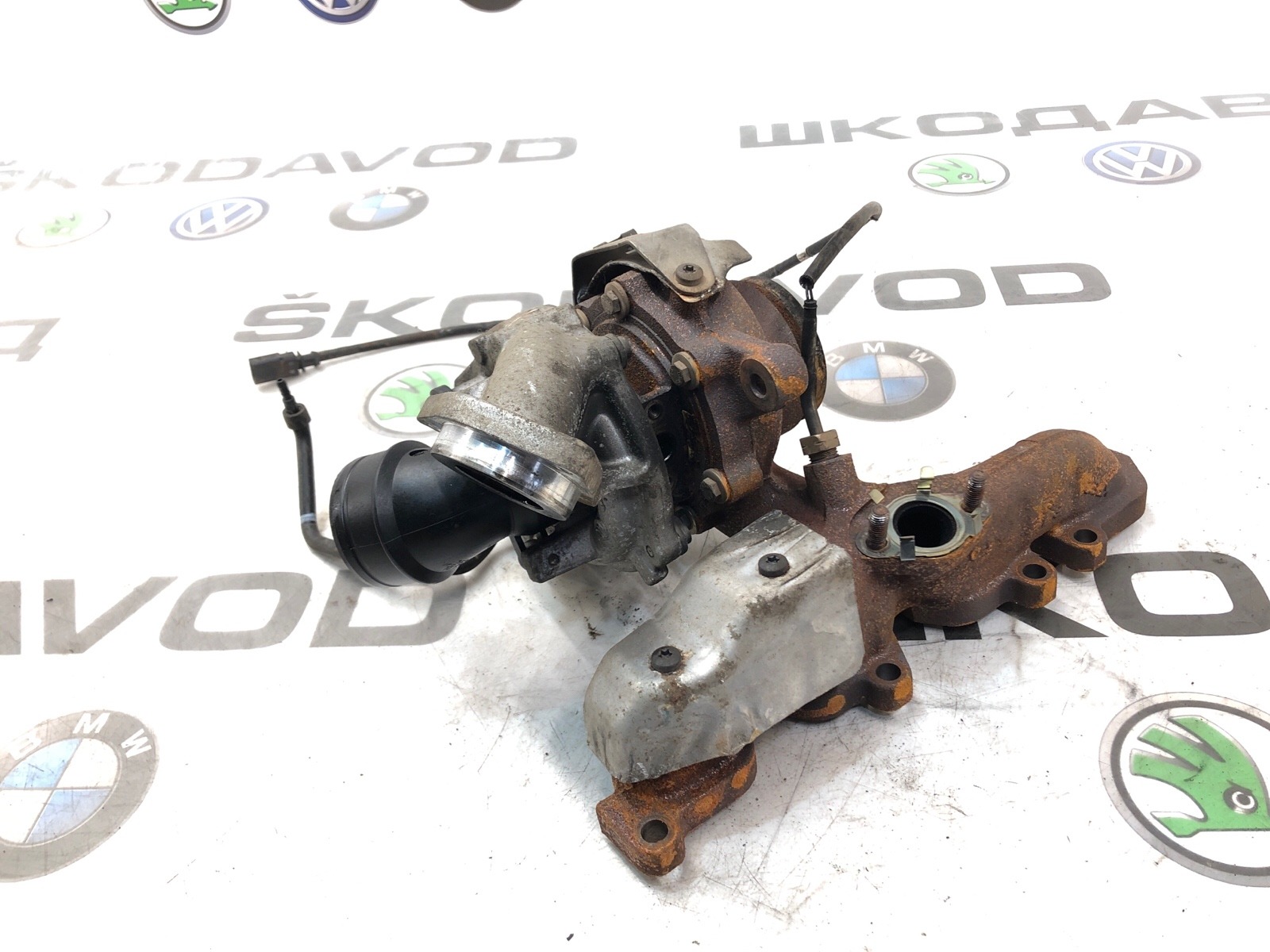 Турбина, 10000 рублей, Москва