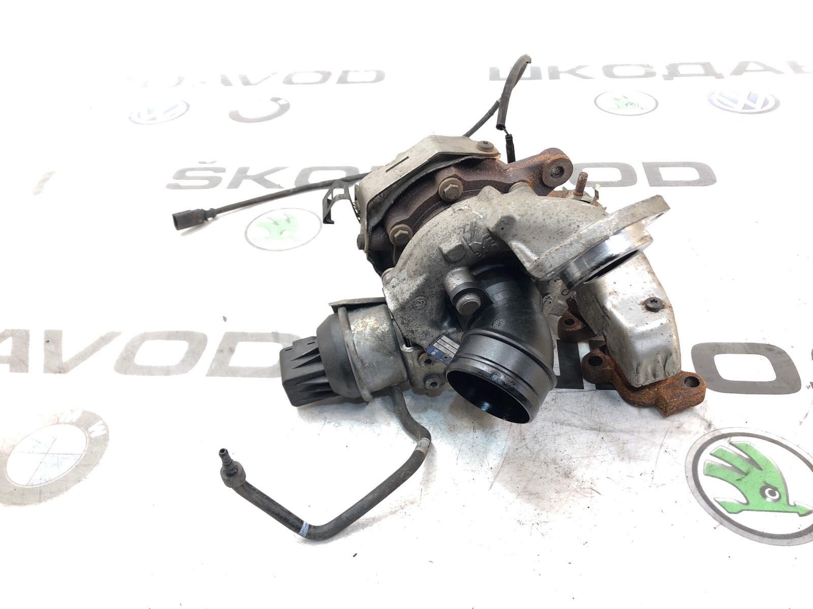 Турбина, 10000 рублей, Москва