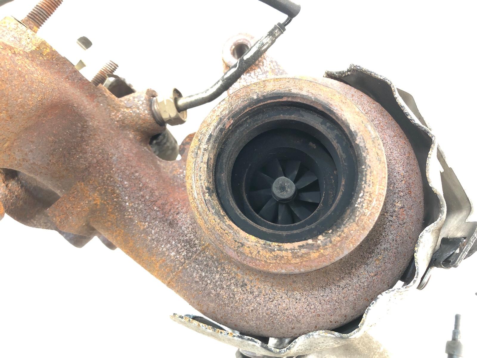 Турбина, 10000 рублей, Москва