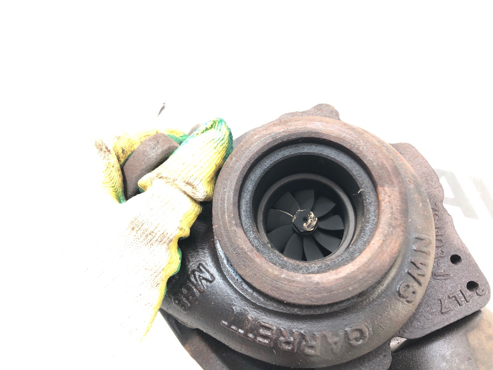 Турбина, 25000 рублей, Москва