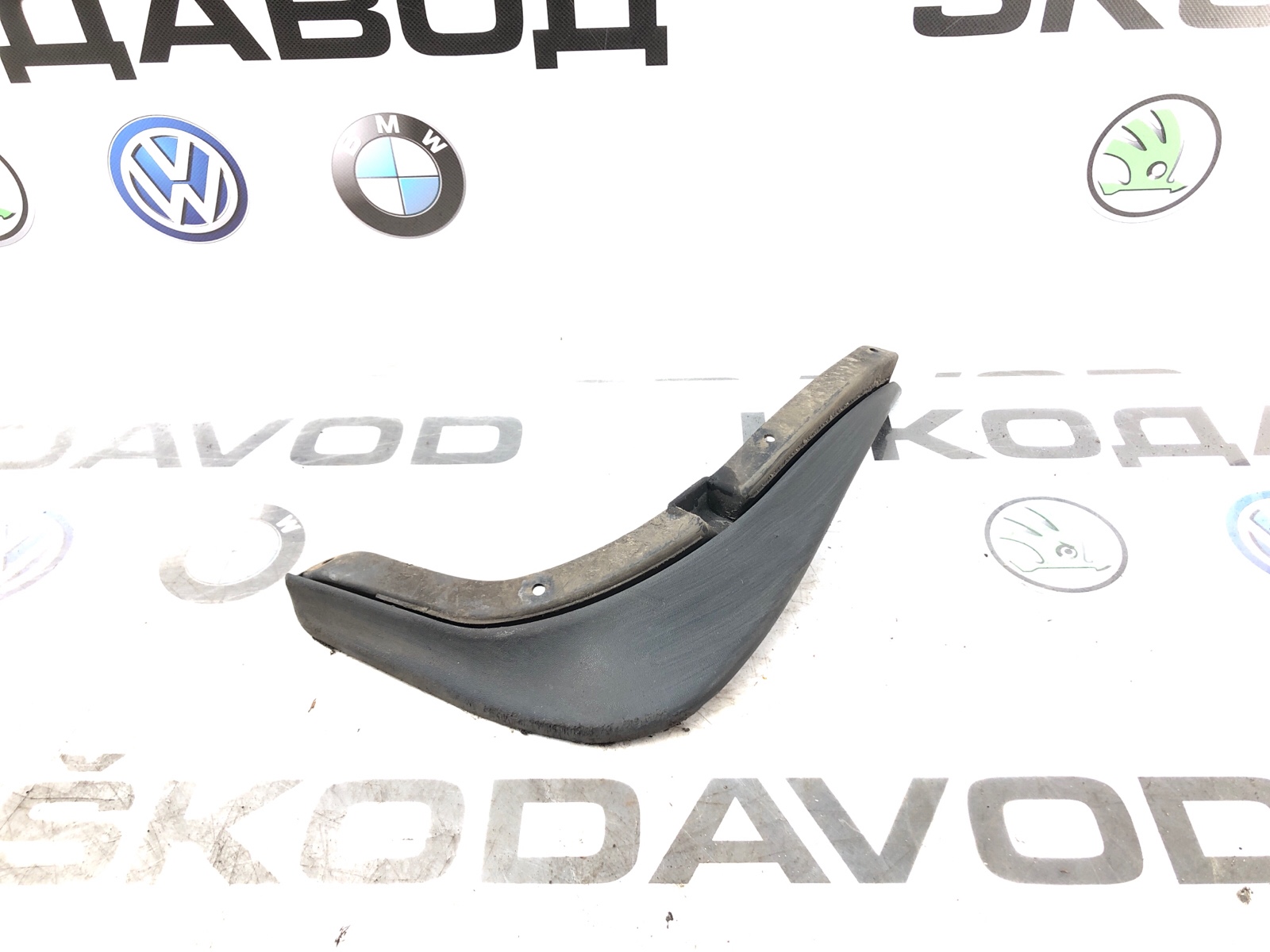 брызговик, 1000 рублей, Москва