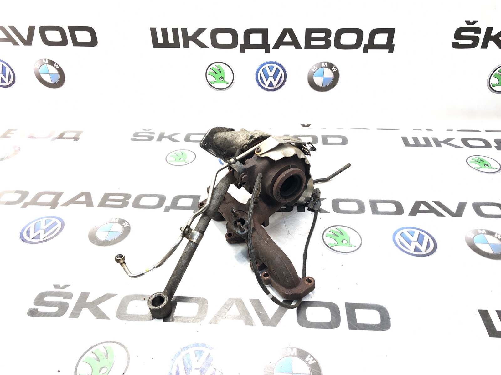 Турбина, 6000 рублей, Москва