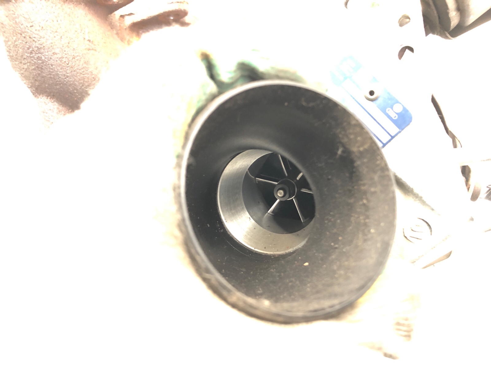 Турбина, 6000 рублей, Москва