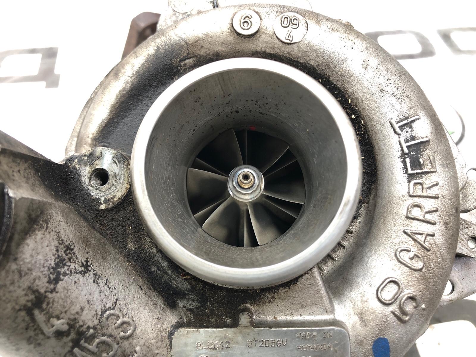 Турбина, 20000 рублей, Москва