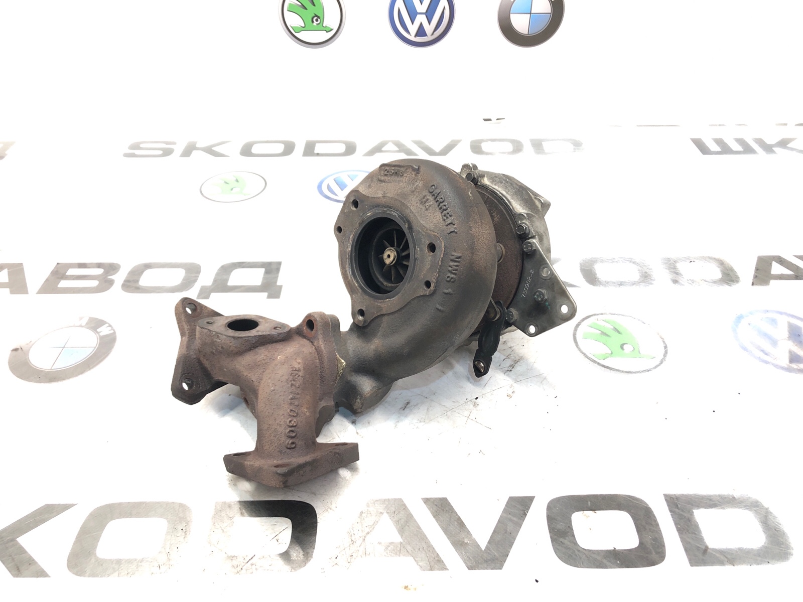 Турбина, 20000 рублей, Москва