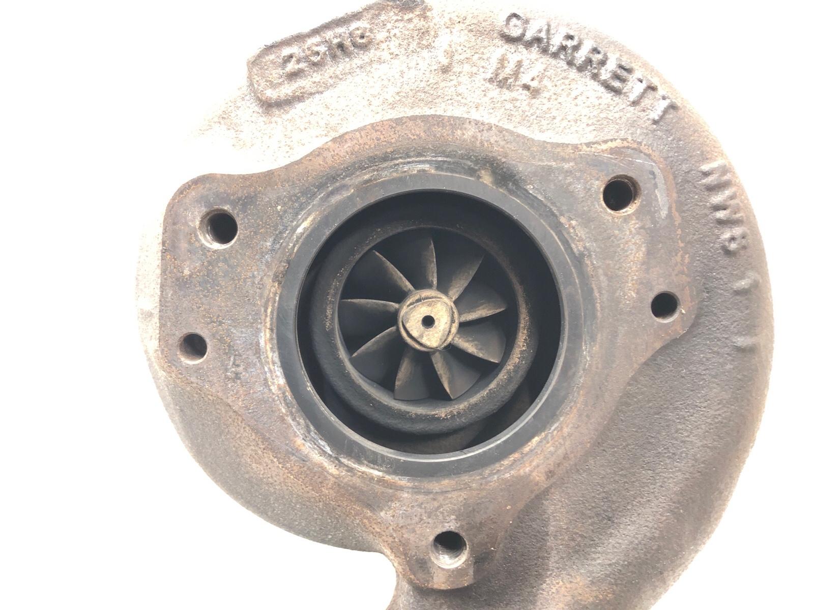 Турбина, 20000 рублей, Москва