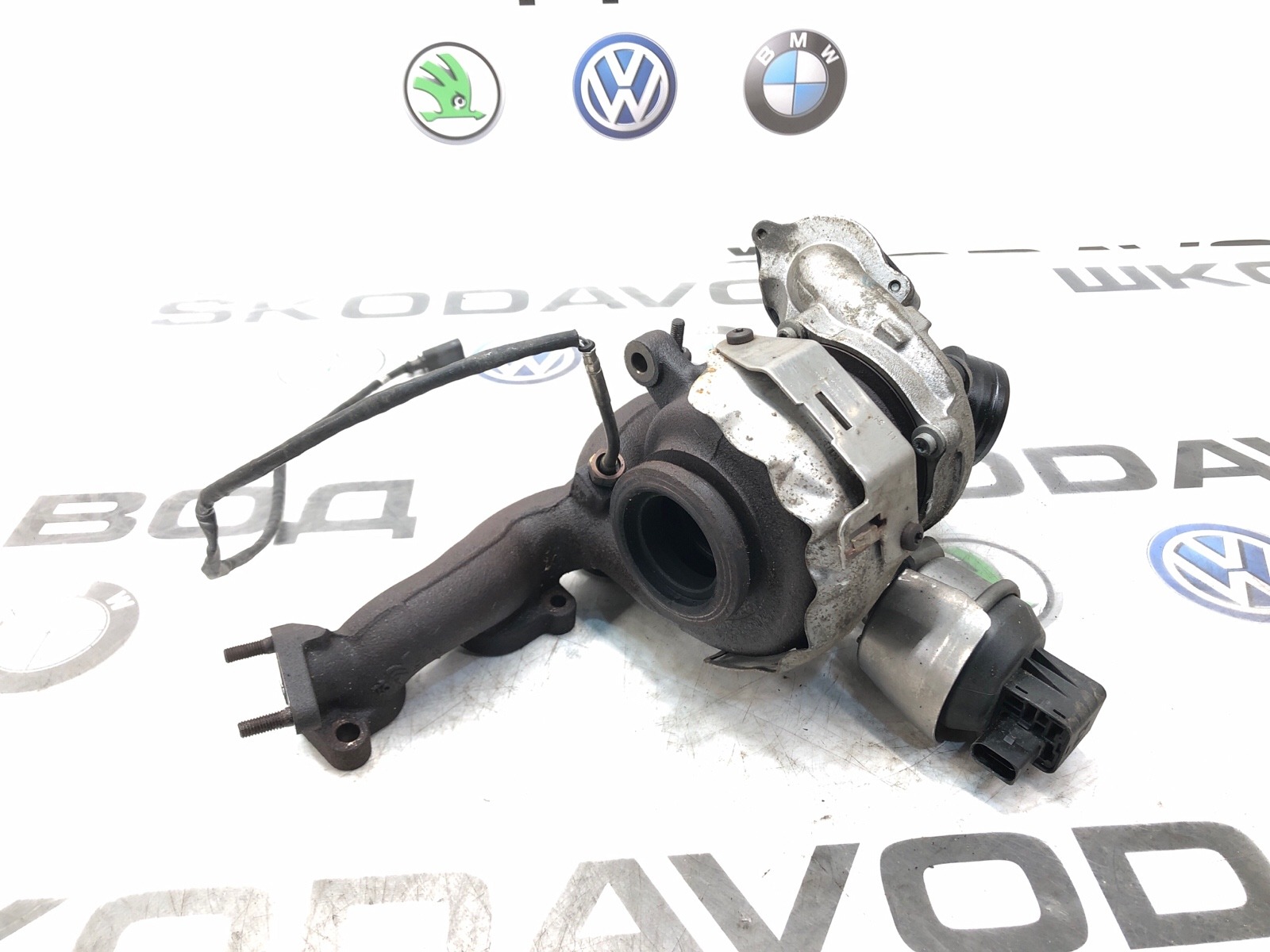 Турбина, 12000 рублей, Москва