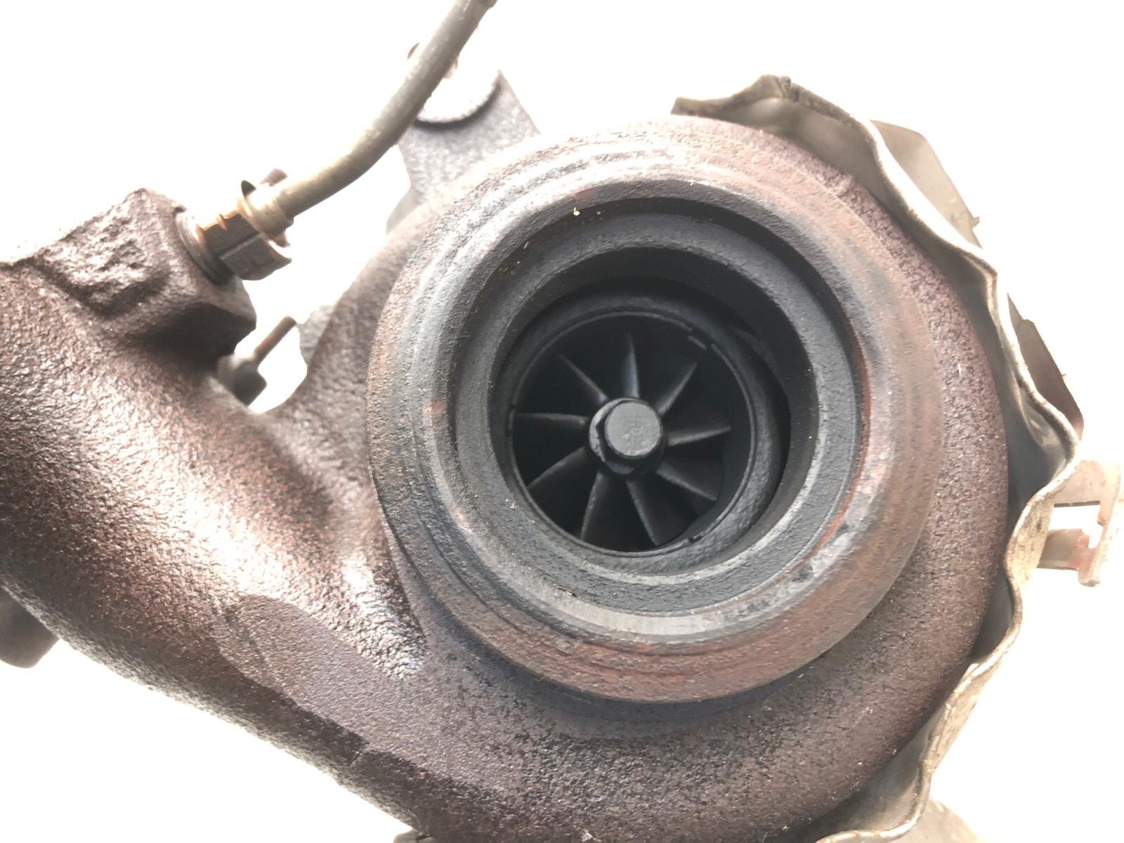 Турбина, 12000 рублей, Москва