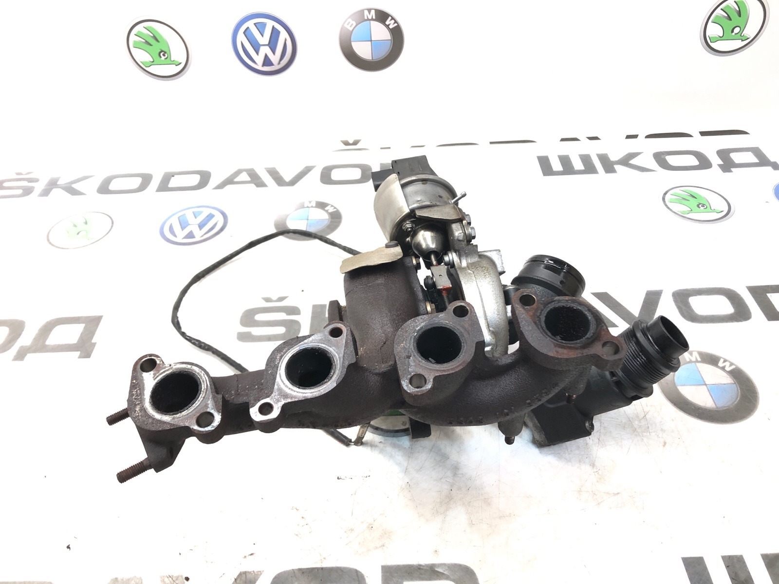 Турбина, 12000 рублей, Москва