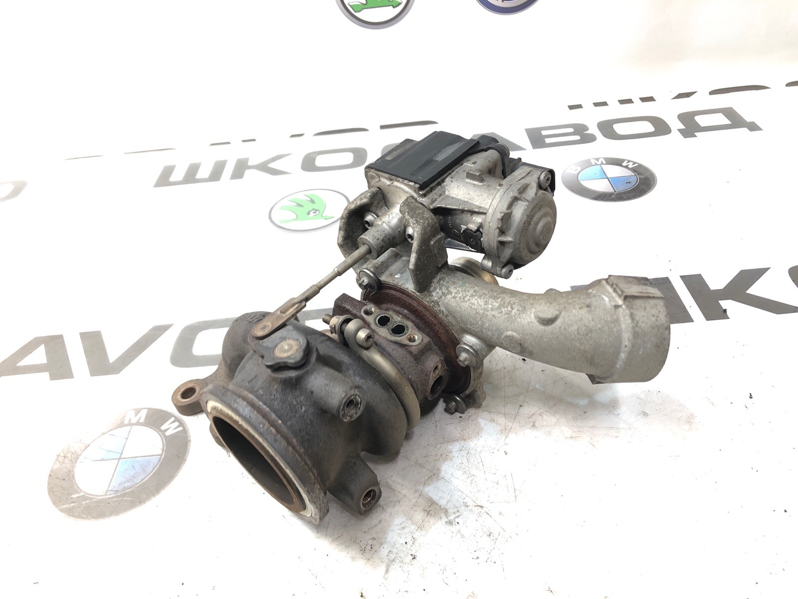 Турбина, 15000 рублей, Москва