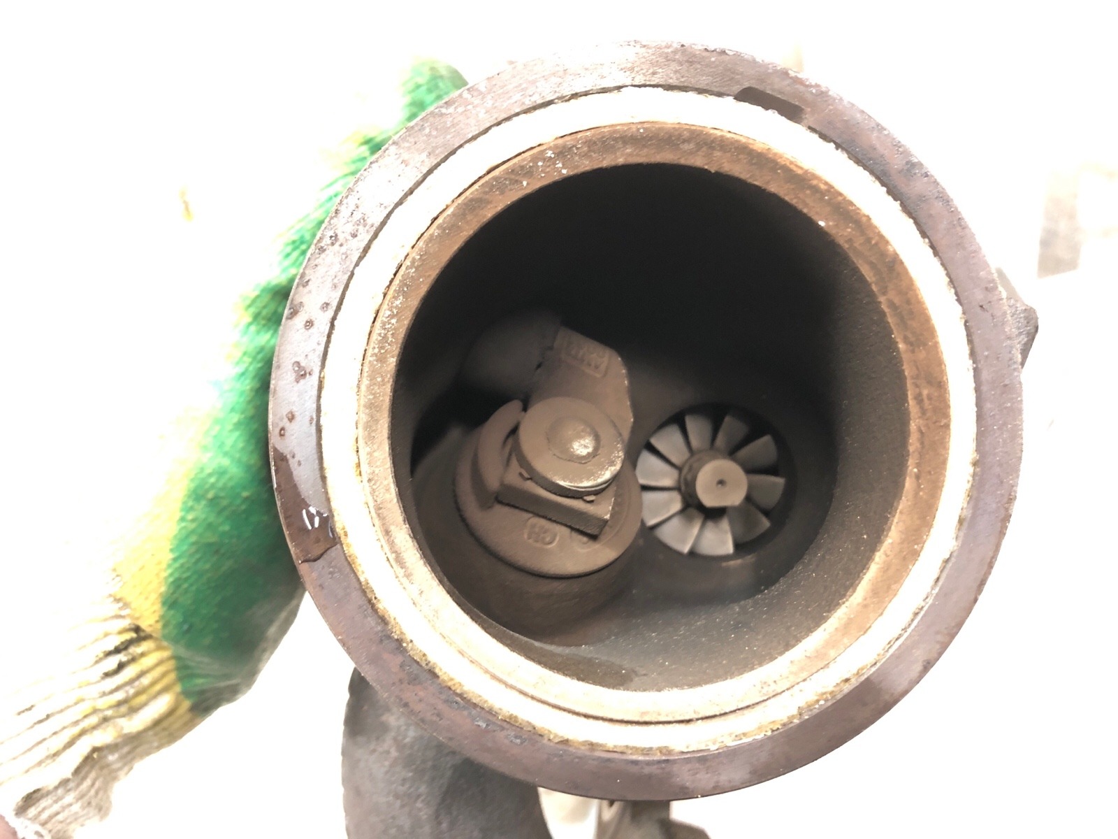 Турбина, 15000 рублей, Москва