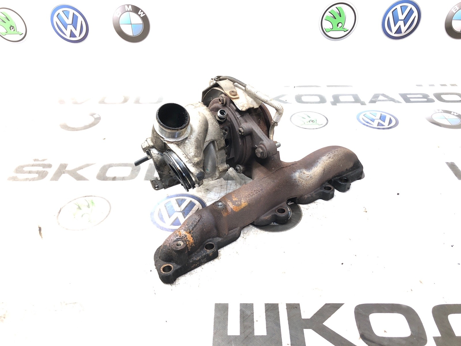 Турбина, 10000 рублей, Москва