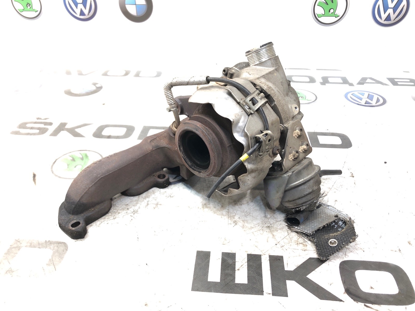 Турбина, 10000 рублей, Москва