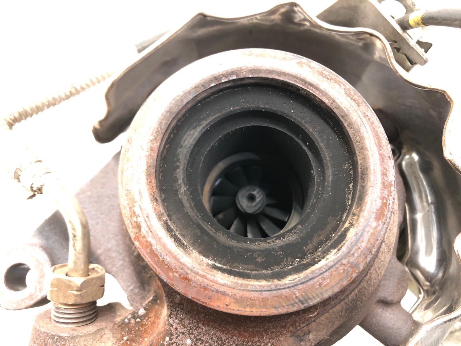 Турбина, 10000 рублей, Москва