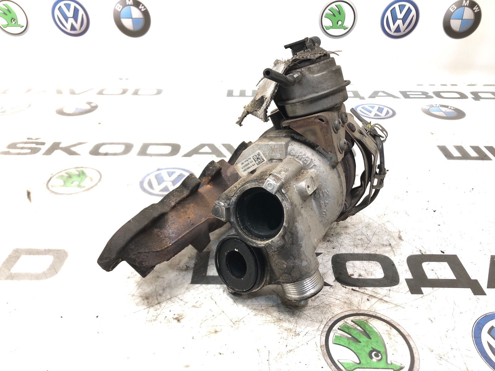 Турбина, 10000 рублей, Москва