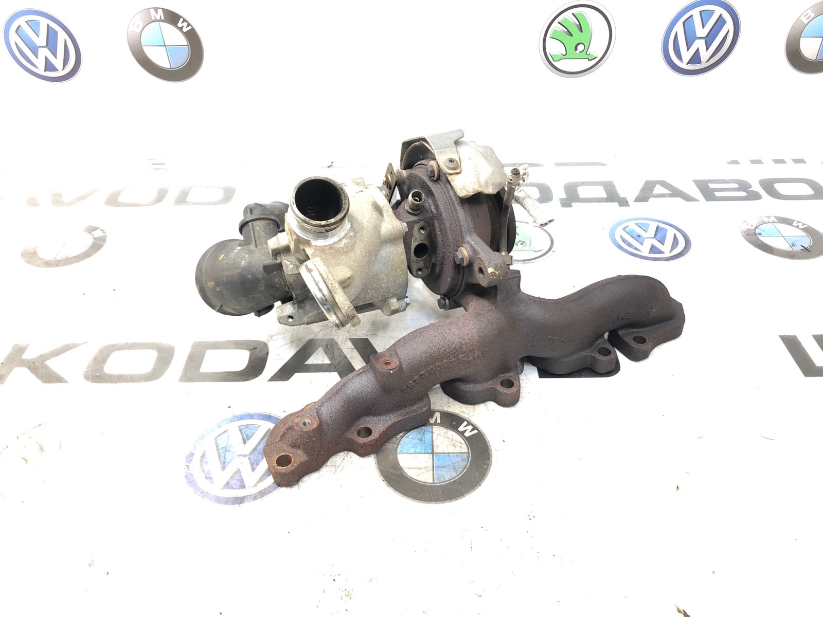 Турбина, 24000 рублей, Москва