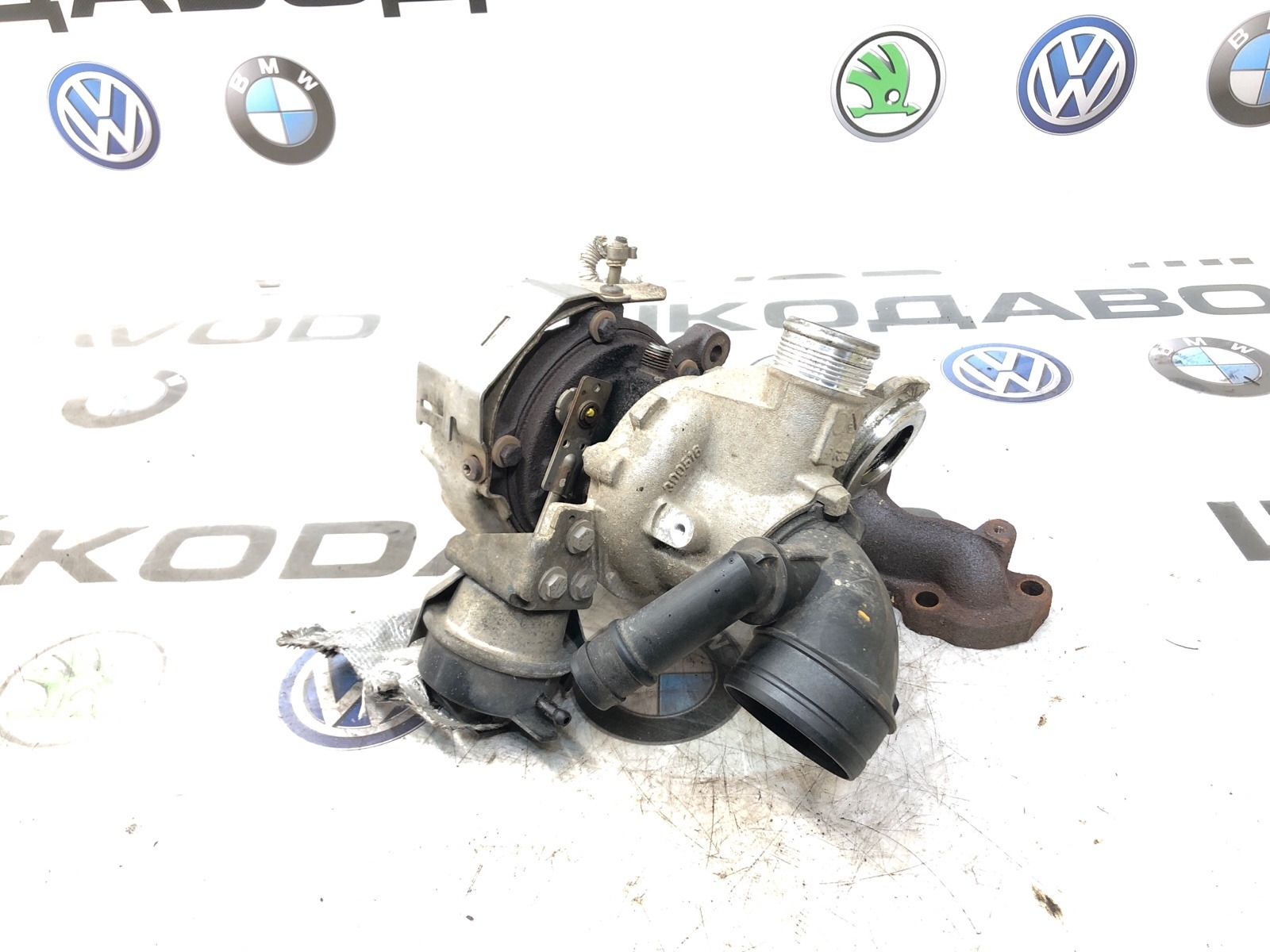 Турбина, 24000 рублей, Москва