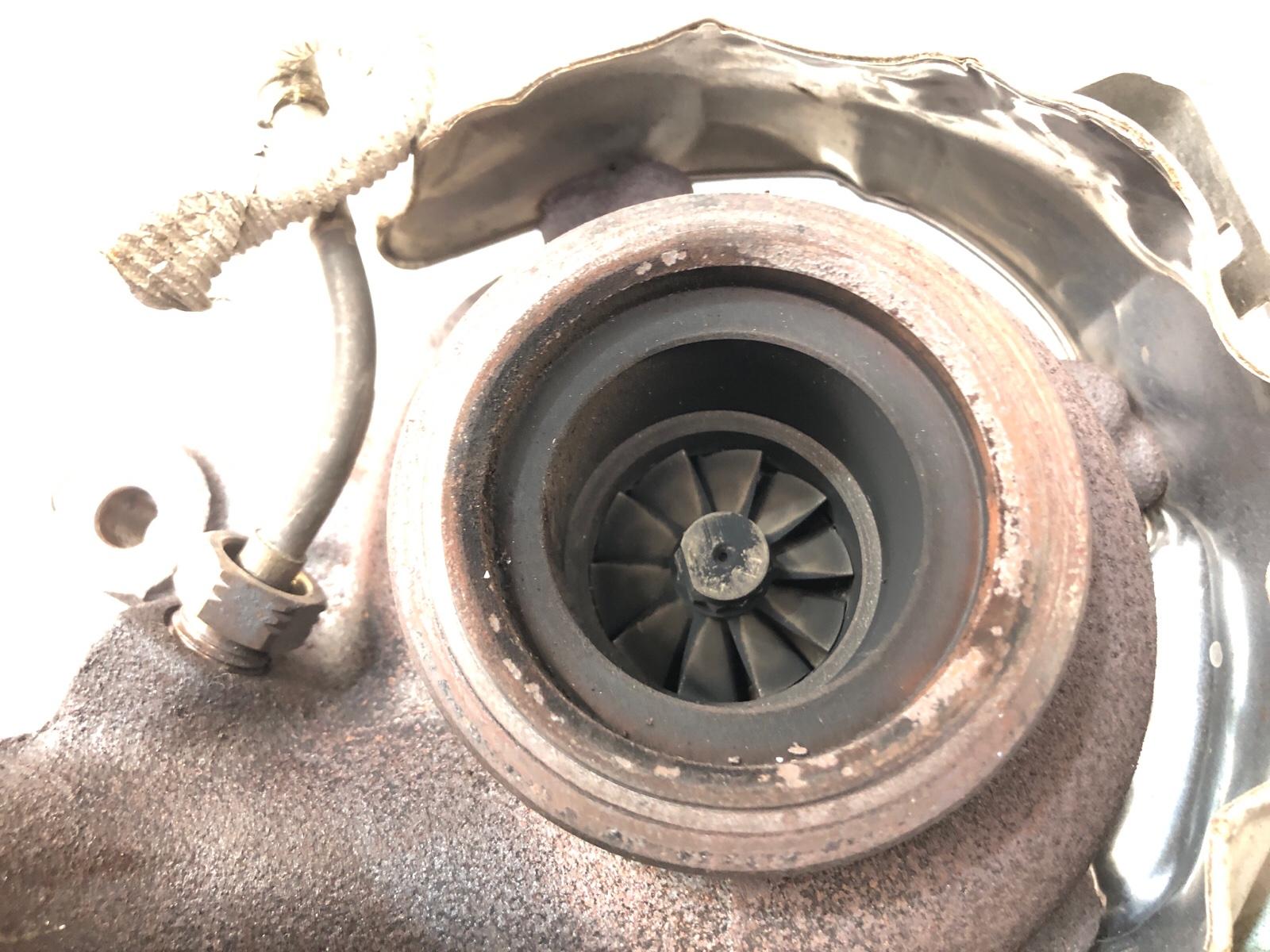 Турбина, 24000 рублей, Москва