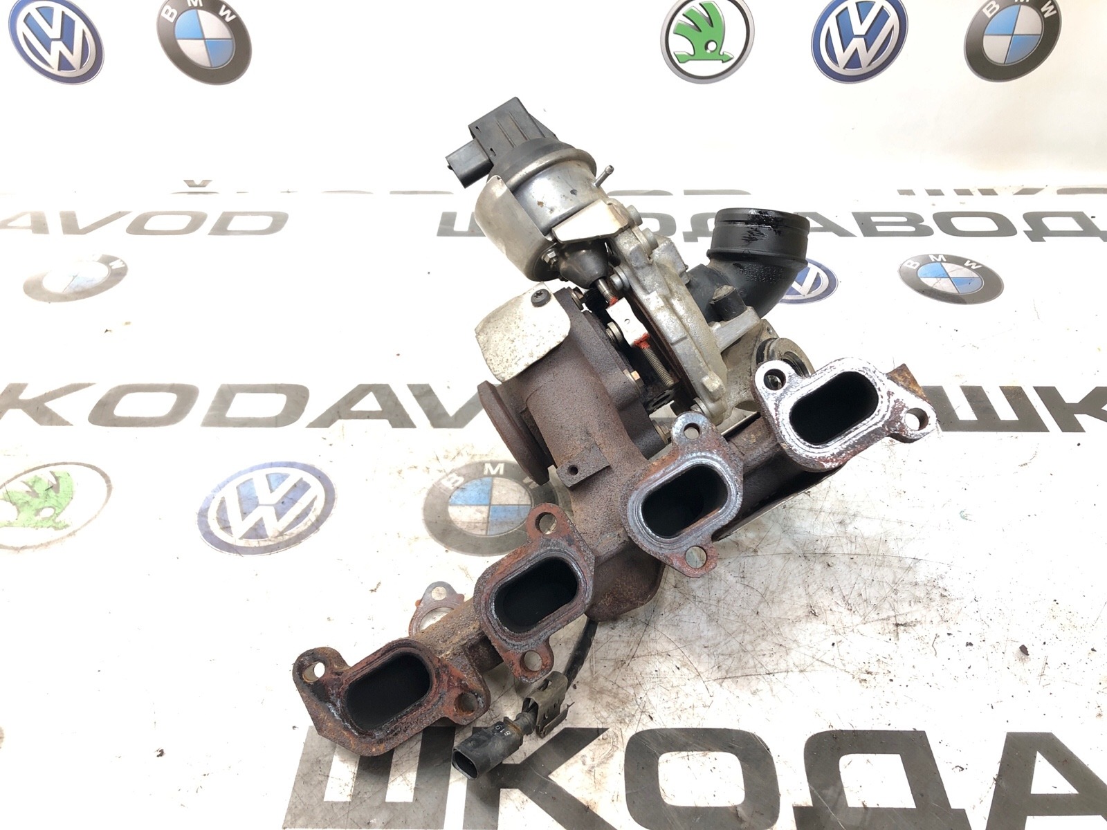 Турбина, 10500 рублей, Москва