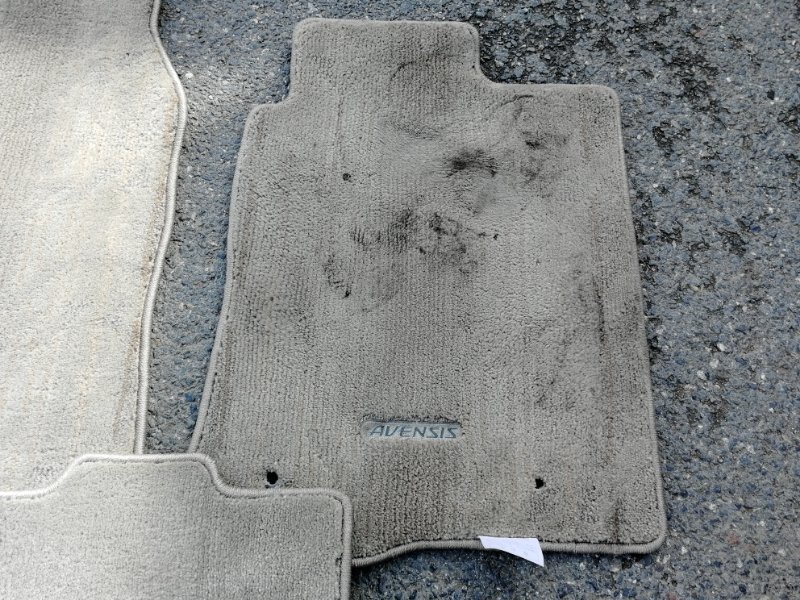 Коврик, 500 рублей, Солонцы