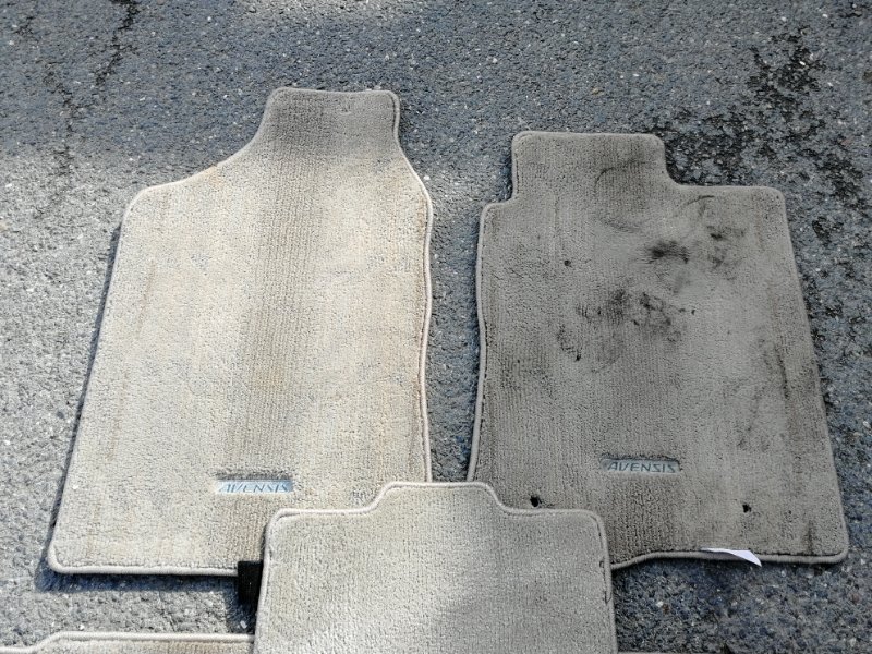 Коврик, 500 рублей, Солонцы