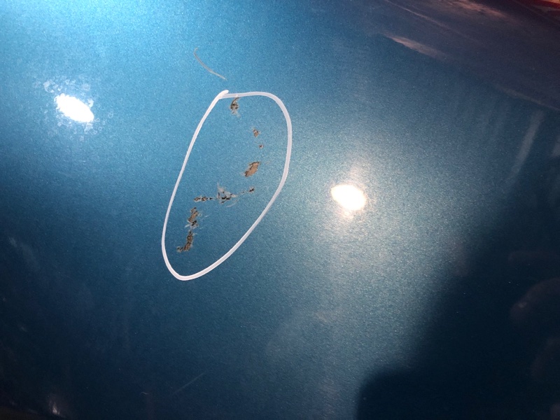 Крыло, 2900 рублей, Красноярск