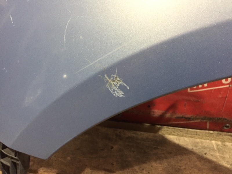 Крыло, 1600 рублей, Красноярск