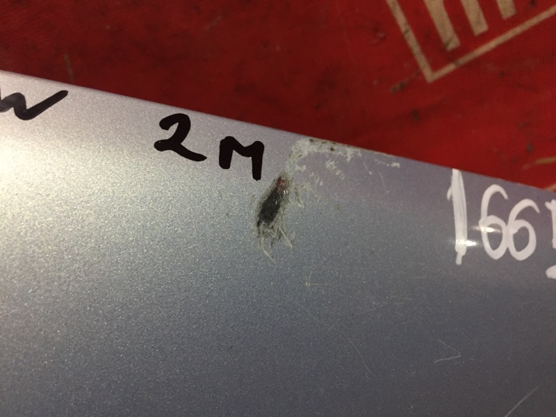 Крыло, 3500 рублей, Красноярск