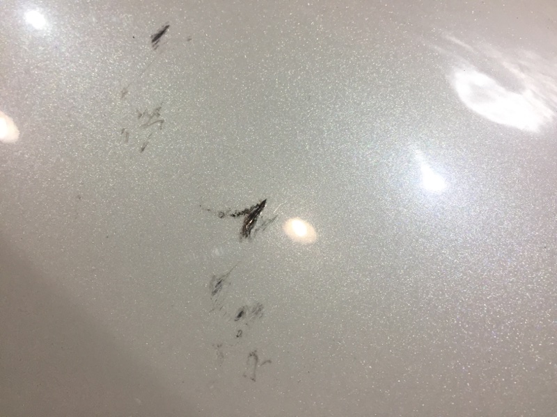 Крыло, 1900 рублей, Красноярск