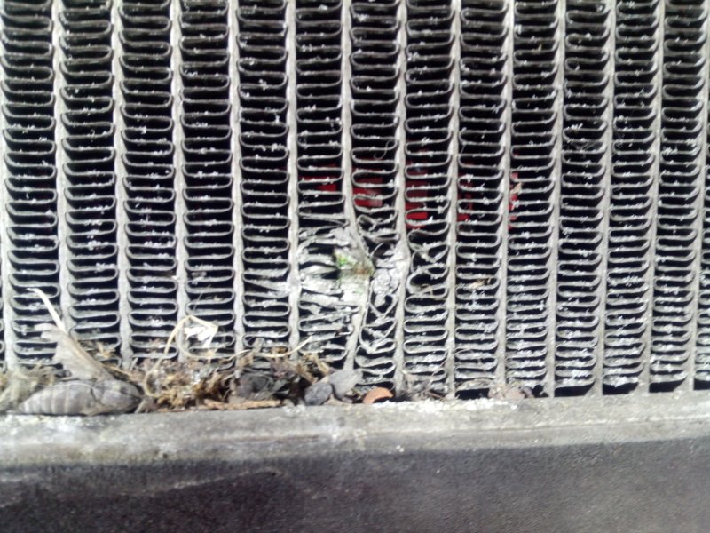 Радиатор двигателя, 6200 рублей, Красноярск