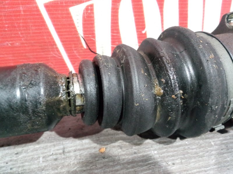 Привод, 3400 рублей, Солонцы