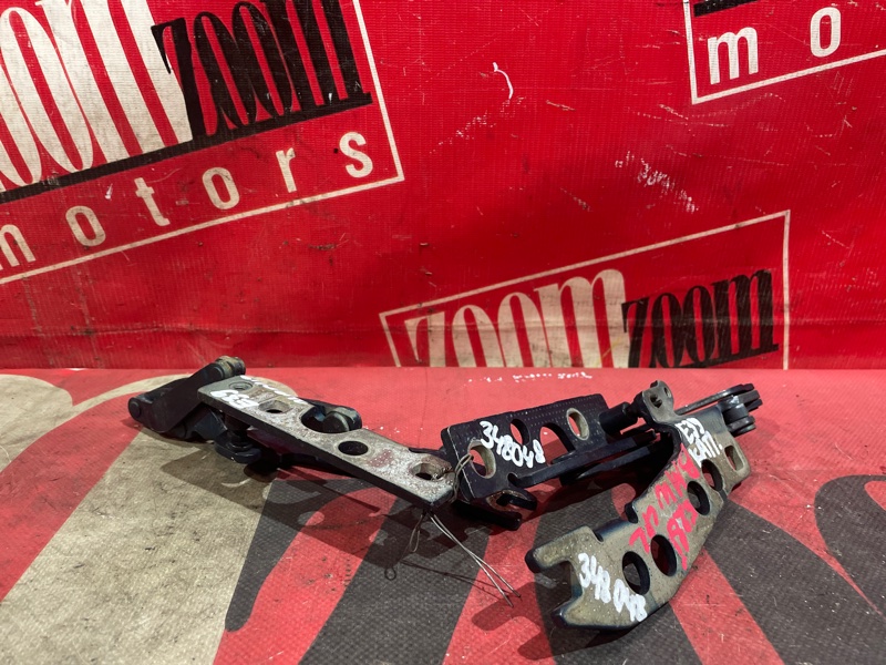 Петля (Шарнир капота), 1000 рублей, Солонцы