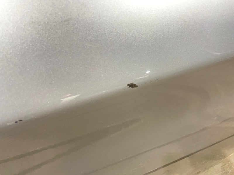 Дверь боковая, 6700 рублей, Красноярск