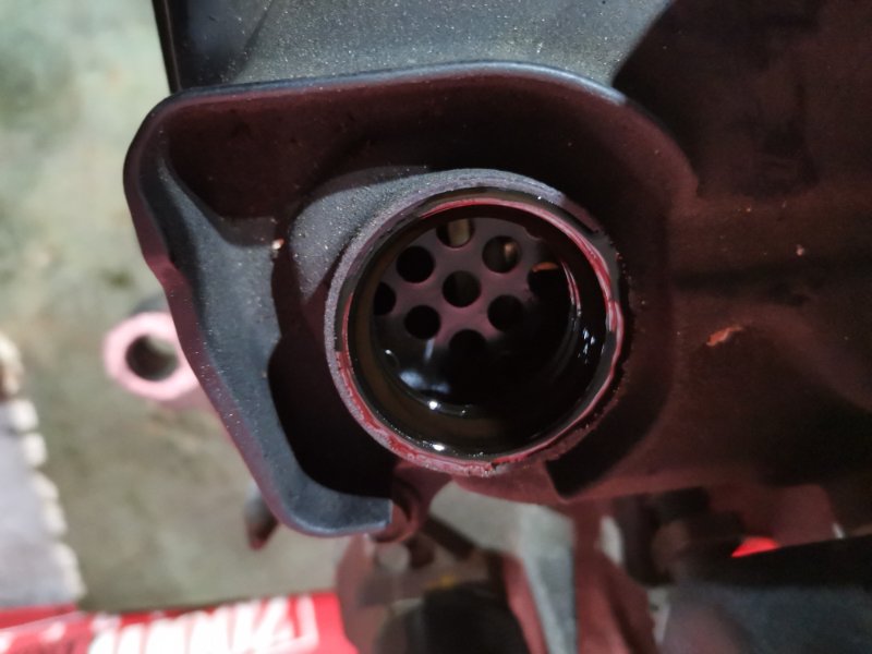 Двигатель, 23800 рублей, Солонцы