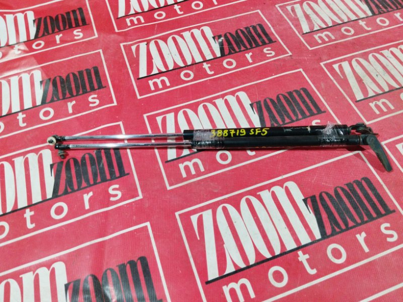 Амортизатор багажника, 400 рублей, Солонцы