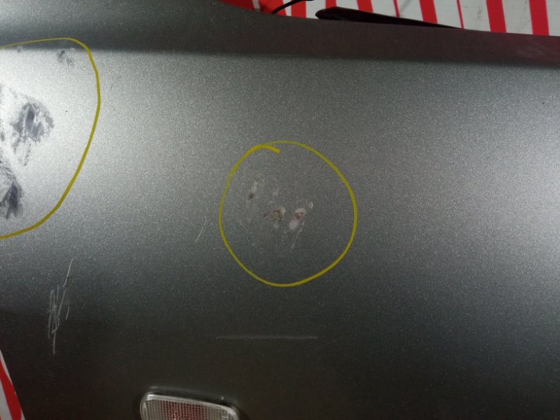 Крыло, 4800 рублей, Солонцы