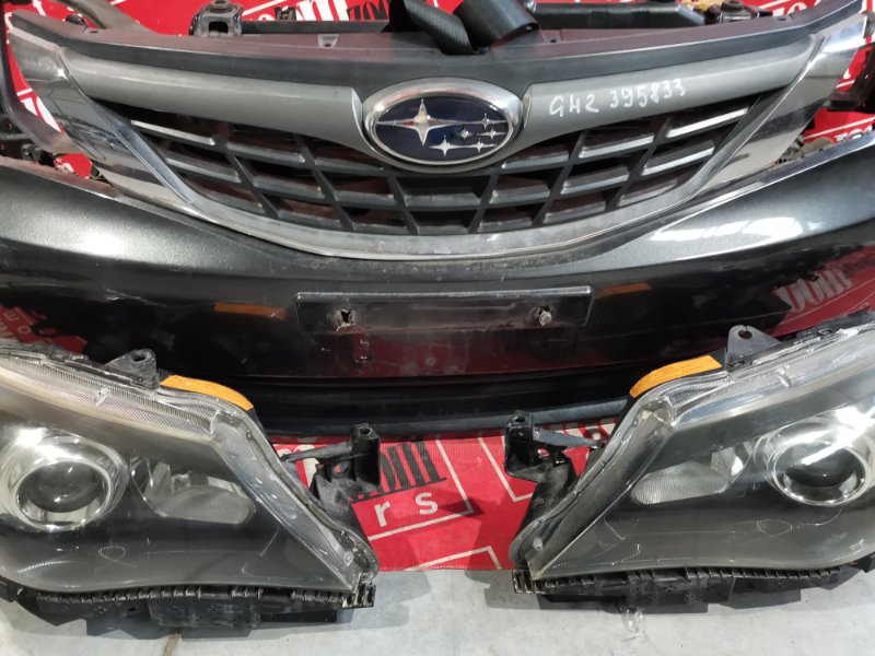 Nose cut, 34000 рублей, Красноярск