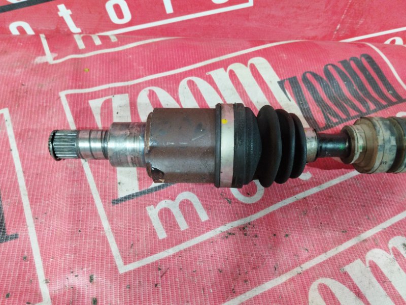 Привод, 1800 рублей, Солонцы