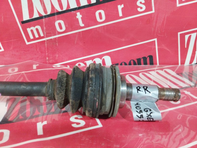 Привод, 1900 рублей, Солонцы