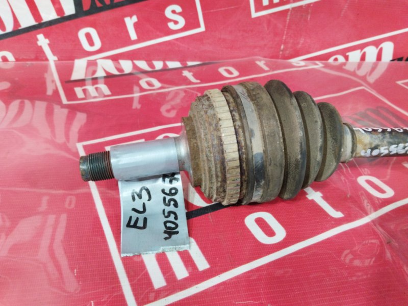 Привод, 8000 рублей, Солонцы