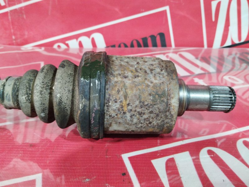 Привод, 8000 рублей, Солонцы