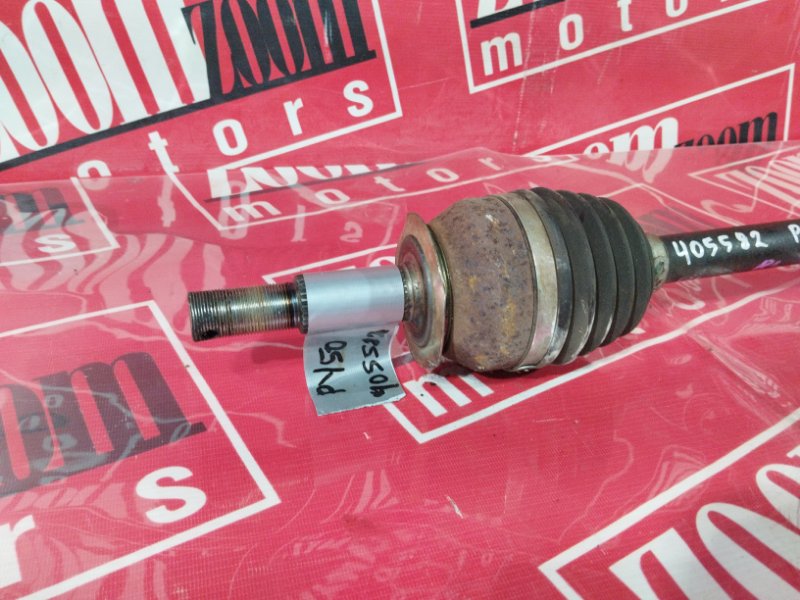 Привод, 1800 рублей, Солонцы