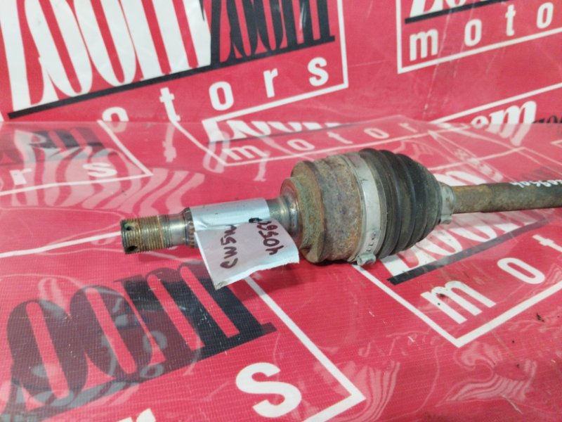 Привод, 900 рублей, Солонцы