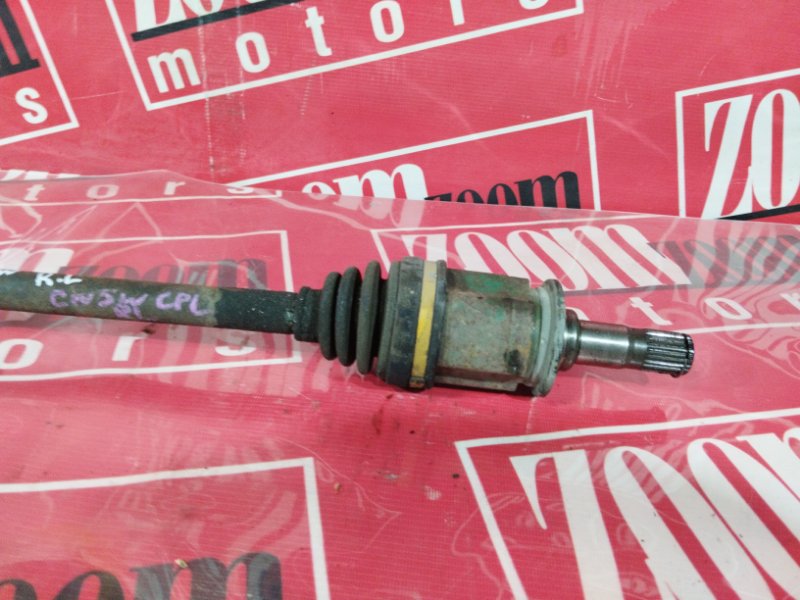 Привод, 900 рублей, Солонцы