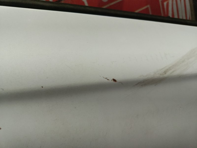 Дверь боковая, 3800 рублей, Красноярск