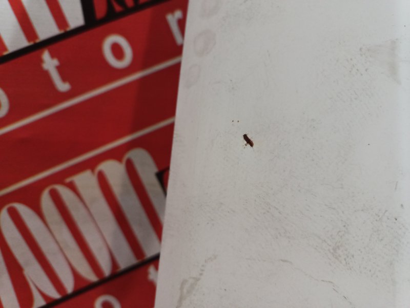 Крыло, 10500 рублей, Красноярск