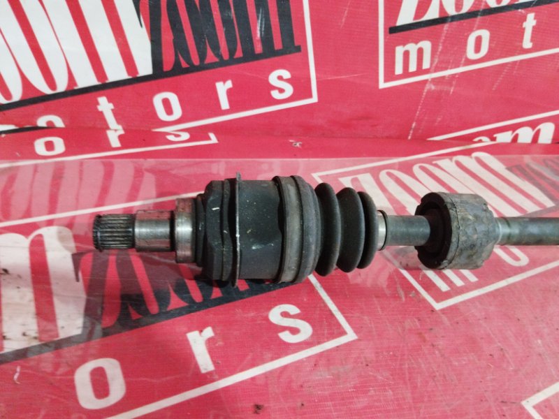 Привод, 8000 рублей, Солонцы