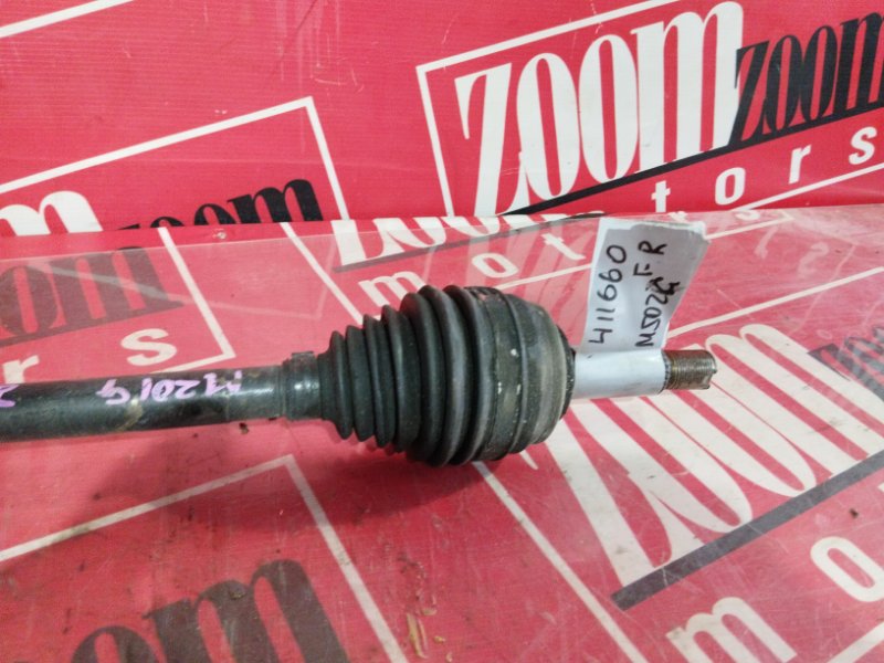 Привод, 8000 рублей, Солонцы