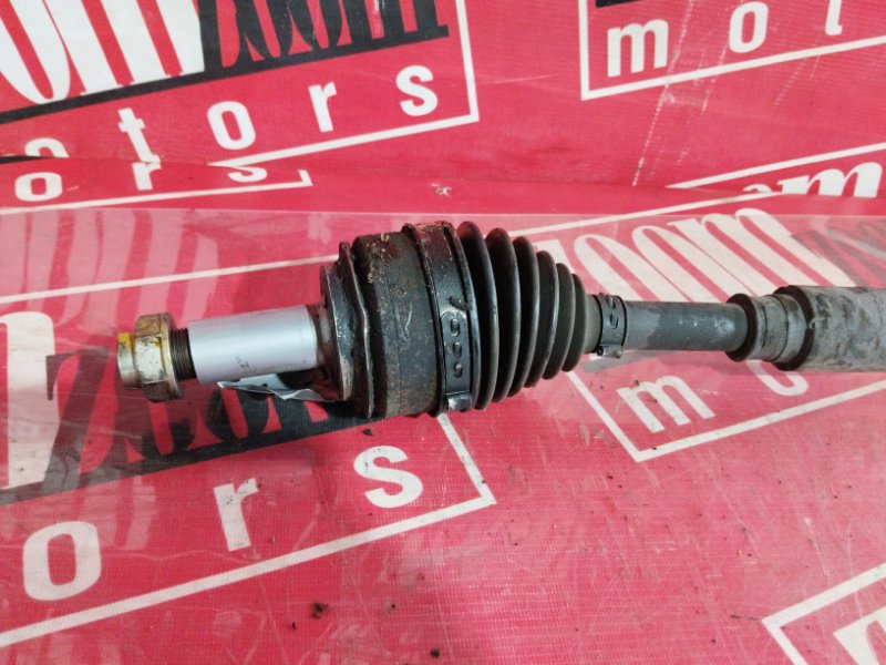 Привод, 1500 рублей, Солонцы