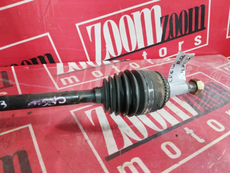 Привод, 2900 рублей, Солонцы